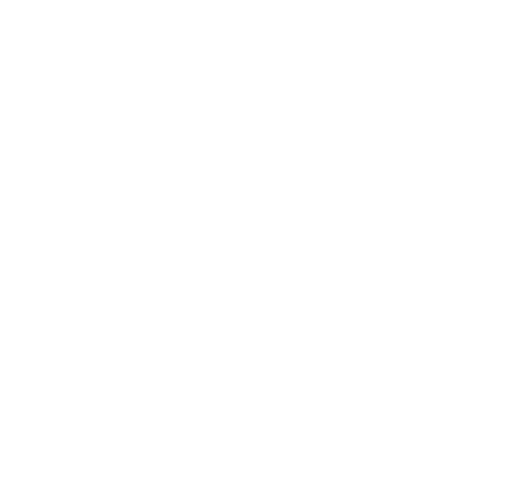 Echo BVI